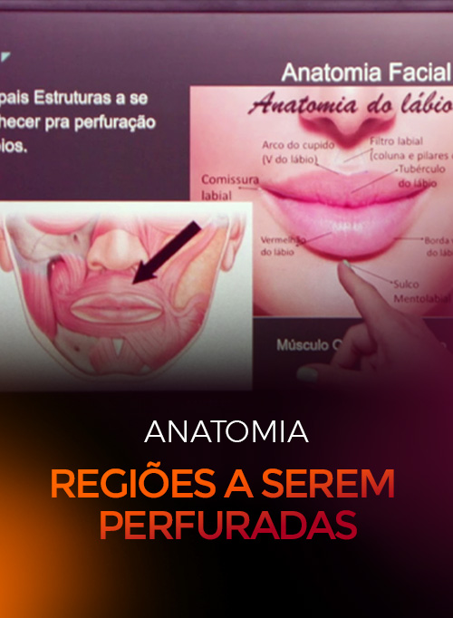 Aula4-Anatomia